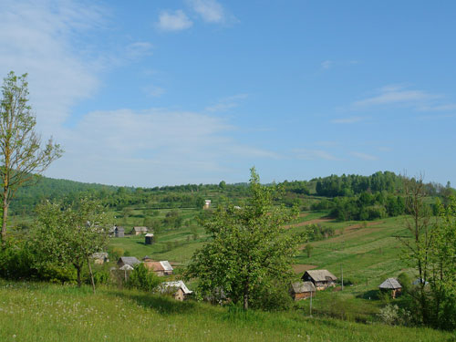 Foto in Slatioara pe valea Morii (c) Petru Goja